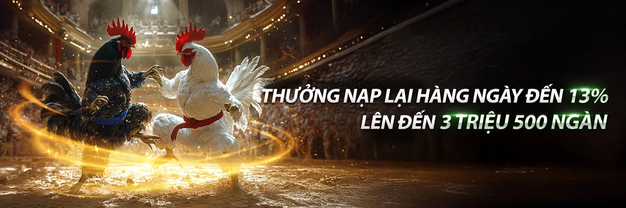 Sân đấu đá gà trực tuyến kịch tính tại B52 Club