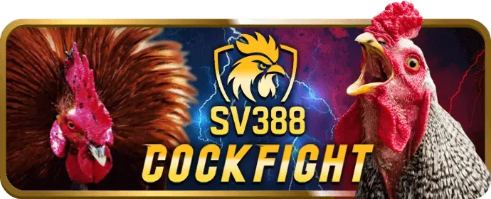Mẹo và chiến thuật thắng lớn tại B52 Club